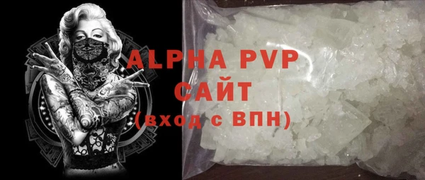 стаф Алексин