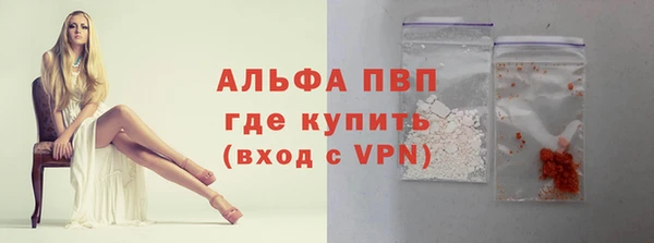 стаф Алексин