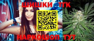 тгк Шелехов