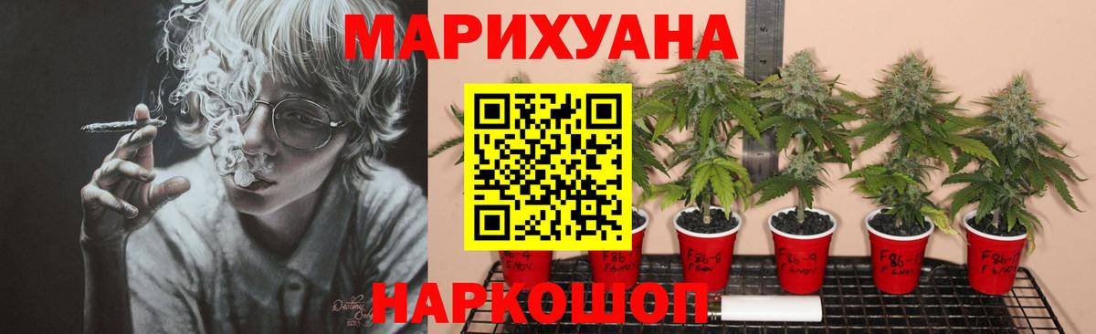 Ачинск  Шишки марихуана план  Бошки Шишки SATIVA & INDICA  Вход с VPN  Марихуана конопля 